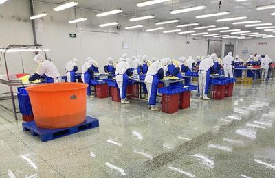 濰品出海行更遠 濰坊市貿促會以跨境電商服務，助力企業揚帆世界商圈